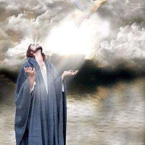 Meet your Posher, Norma